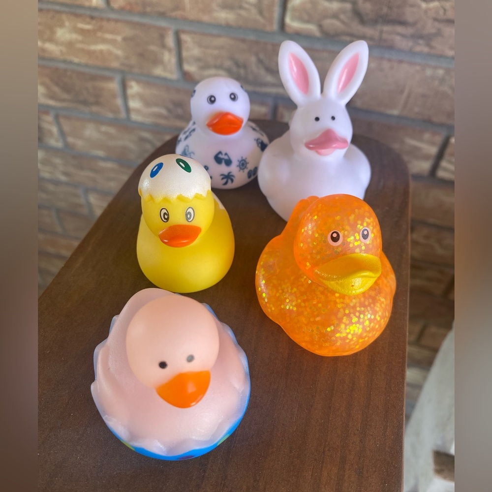 Set of 5 Assorted Rubber Ducks